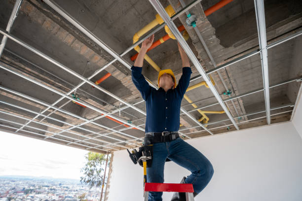 Best Best Plumbers Near Me  in Tipton, IA